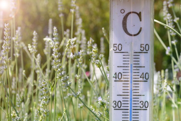 Aumentano le temperature nelle città italiane