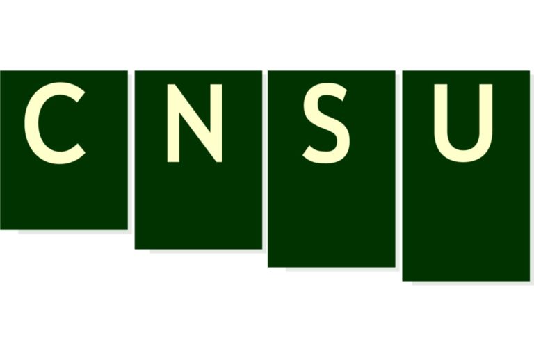 CNSU: le funzioni e le modalità di elezione