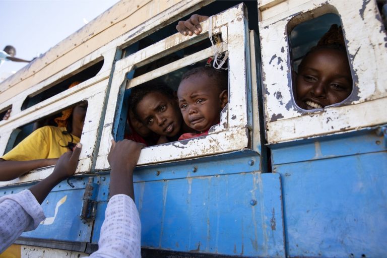 La distruzione del sistema scolastico in Tigray