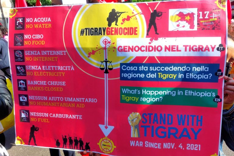 Gli obiettivi e la strategia militare del Governo del Tigray