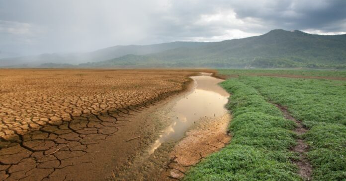 Cambiamento climatico